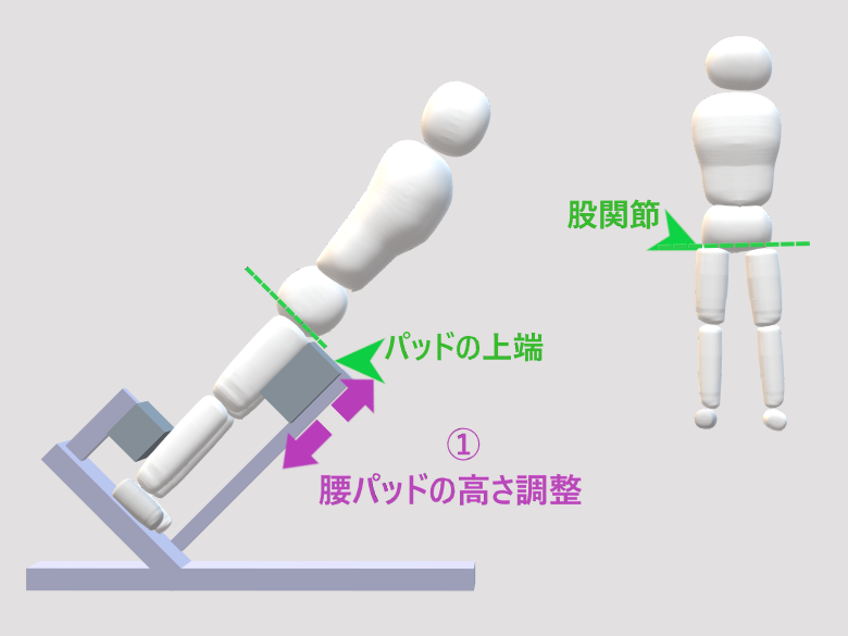 45度バックエクステンションマシンの腰パッドの高さ調整を説明した図